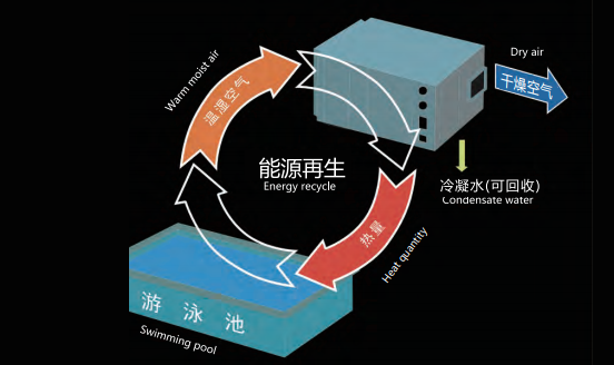 室內泳池除濕