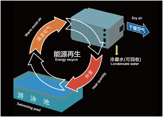 游泳池專用熱泵型恒溫除濕機原理